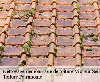 Nettoyage demoussage de toiture 57630