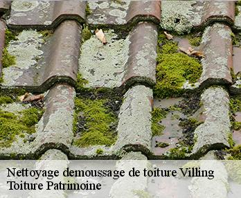 Nettoyage demoussage de toiture