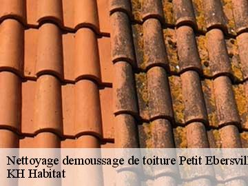 Nettoyage demoussage de toiture petit-ebersviller-57730 KH Habitat