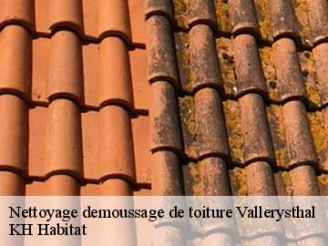 Nettoyage demoussage de toiture vallerysthal-57870 KH Habitat