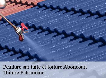 Peinture sur tuile et toiture  aboncourt-57920 Toiture Patrimoine