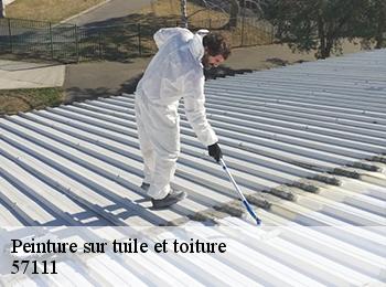 Peinture sur tuile et toiture 57111