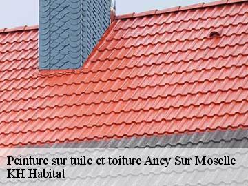 Peinture sur tuile et toiture ancy-sur-moselle-57130 KH Habitat