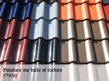 Peinture sur tuile et toiture  57930