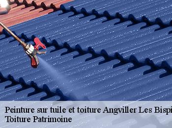 Peinture sur tuile et toiture  angviller-les-bisping-57930 Toiture Patrimoine