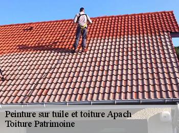 Peinture sur tuile et toiture 57480
