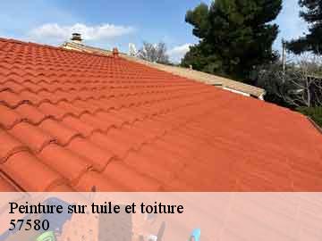 Peinture sur tuile et toiture  57580