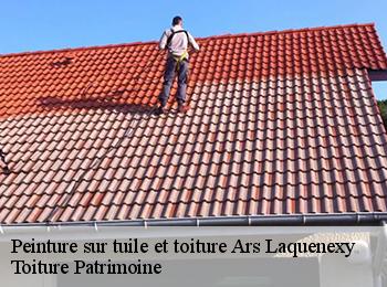 Peinture sur tuile et toiture  57530