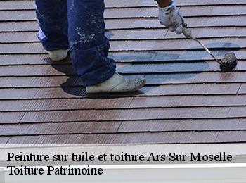 Peinture sur tuile et toiture