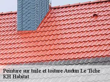 Peinture sur tuile et toiture audun-le-tiche-57390 KH Habitat