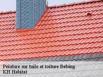 Peinture sur tuile et toiture  bebing-57830 Couvreur Bouillon