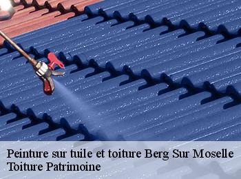 Peinture sur tuile et toiture berg-sur-moselle-57570 Toiture Patrimoine