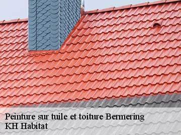 Peinture sur tuile et toiture bermering-57340 KH Habitat