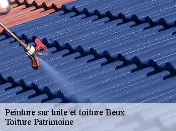 Peinture sur tuile et toiture beux-57580 Toiture Patrimoine