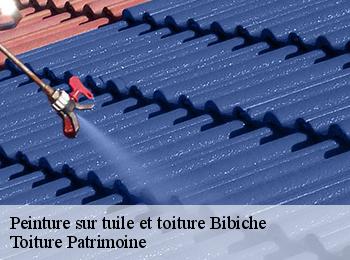 Peinture sur tuile et toiture bibiche-57320 Toiture Patrimoine