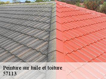 Peinture sur tuile et toiture  57113
