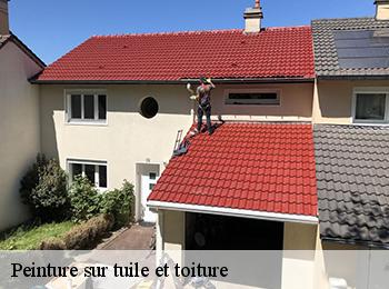 Peinture sur tuile et toiture