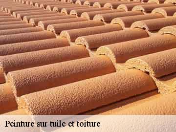 Peinture sur tuile et toiture