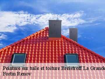 Peinture sur tuile et toiture breistroff-la-grande-57570 Fortin Renov