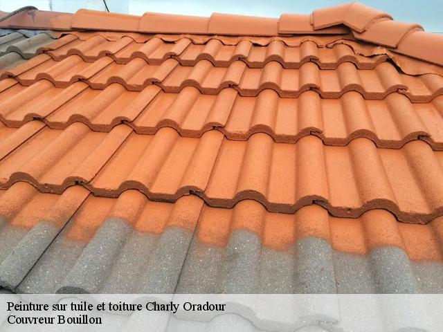 Peinture sur tuile et toiture  charly-oradour-57640 Couvreur Bouillon