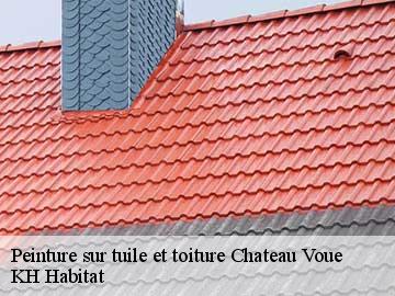 Peinture sur tuile et toiture  chateau-voue-57170 Couvreur Bouillon