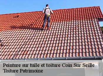Peinture sur tuile et toiture  57420