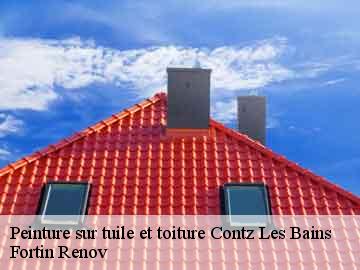Peinture sur tuile et toiture contz-les-bains-57480 Fortin Renov