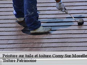 Peinture sur tuile et toiture