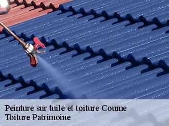 Peinture sur tuile et toiture  coume-57220 Toiture Patrimoine