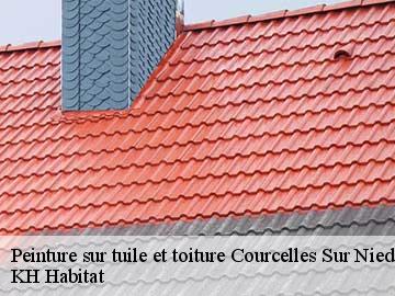 Peinture sur tuile et toiture  courcelles-sur-nied-57530 KH Habitat