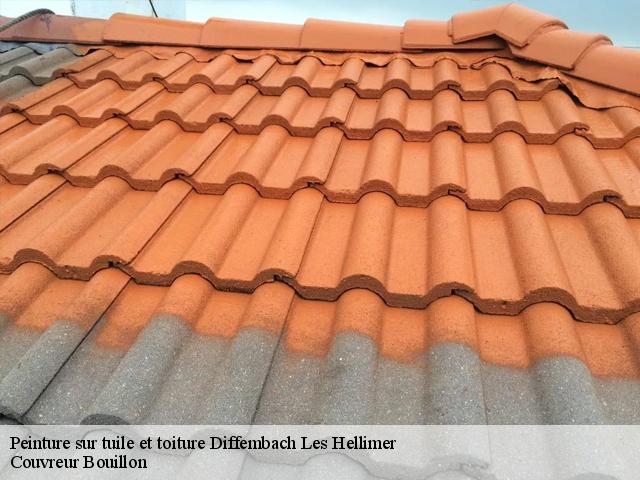 Peinture sur tuile et toiture  diffembach-les-hellimer-57660 Couvreur Bouillon