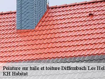 Peinture sur tuile et toiture diffembach-les-hellimer-57660 KH Habitat