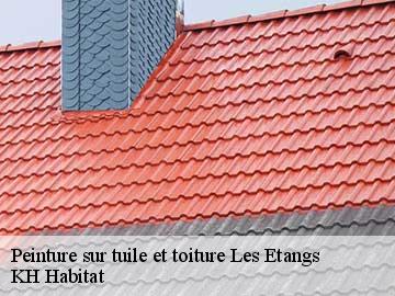 Peinture sur tuile et toiture  les-etangs-57530 KH Habitat