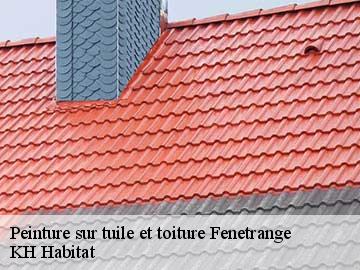 Peinture sur tuile et toiture fenetrange-57930 KH Habitat