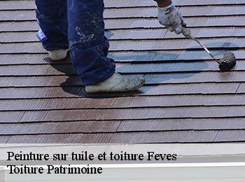 Peinture sur tuile et toiture