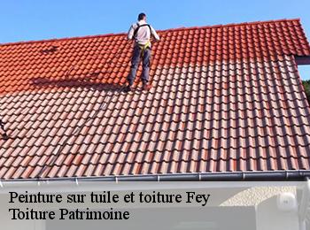 Peinture sur tuile et toiture 57420