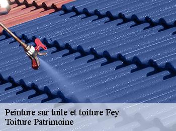 Peinture sur tuile et toiture fey-57420 Toiture Patrimoine