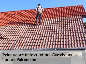 Peinture sur tuile et toiture  57820