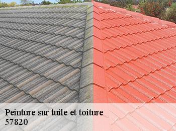 Peinture sur tuile et toiture  57820