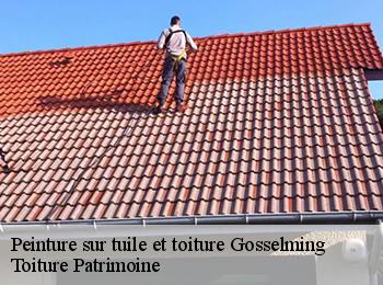 Peinture sur tuile et toiture  57930