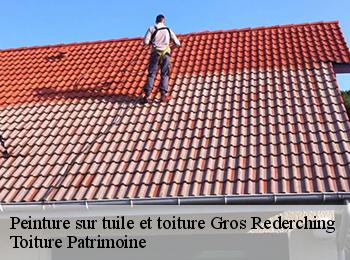 Peinture sur tuile et toiture  57410