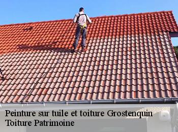 Peinture sur tuile et toiture 57660