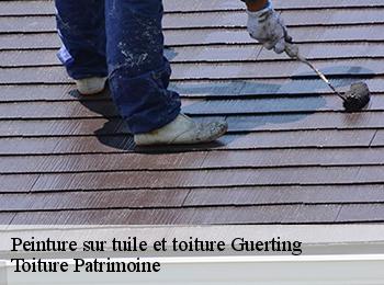 Peinture sur tuile et toiture