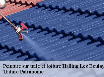 Peinture sur tuile et toiture halling-les-boulay-57220 Toiture Patrimoine
