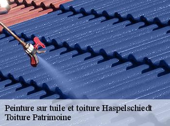 Peinture sur tuile et toiture  haspelschiedt-57230 Toiture Patrimoine