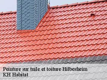 Peinture sur tuile et toiture hilbesheim-57400 KH Habitat