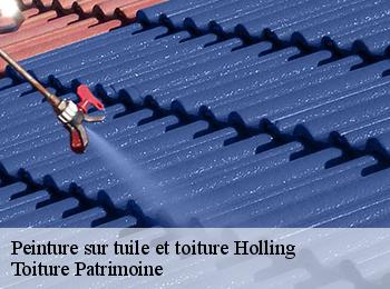 Peinture sur tuile et toiture  holling-57220 Toiture Patrimoine