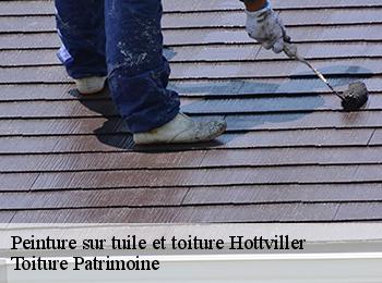 Peinture sur tuile et toiture