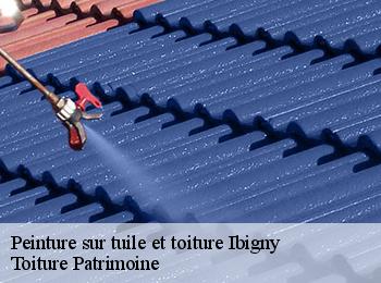 Peinture sur tuile et toiture  ibigny-57830 Toiture Patrimoine