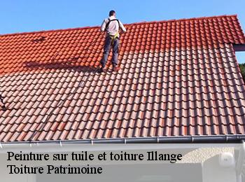Peinture sur tuile et toiture  57110